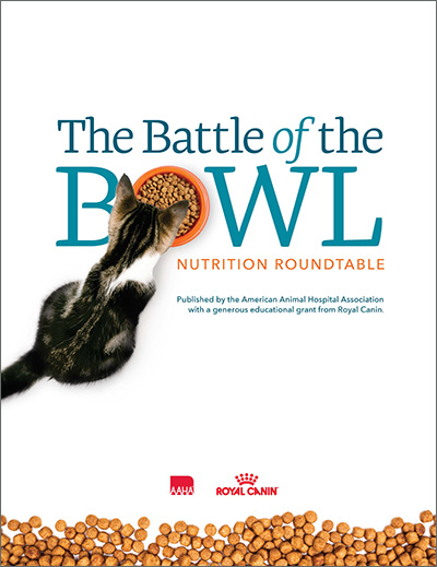 Battle of the Bowl